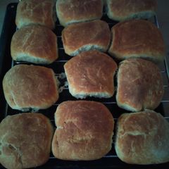 A picture of Buns.