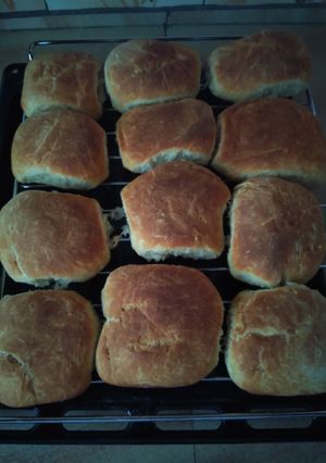A picture of Buns.