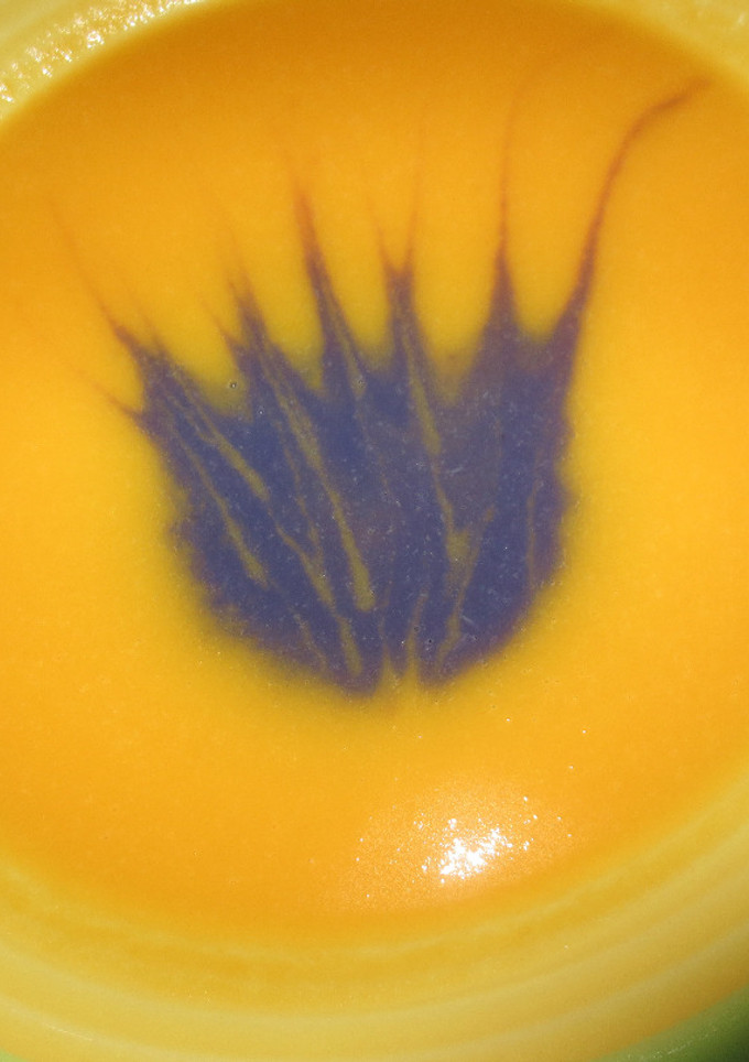 Una foto de Crema de calabaza y col lombarda enriquecida con Agua de Mar