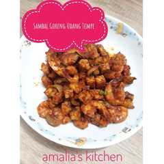 A picture of Sambal Goreng Udang Tempe.