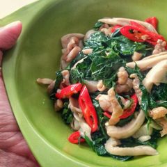 A picture of Sweet Leaf Bush Mushroom and Chicken Stir Fry.