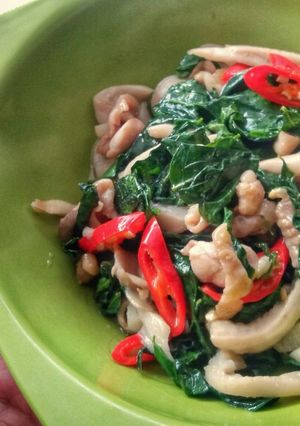 A picture of Sweet Leaf Bush Mushroom and Chicken Stir Fry.