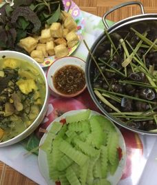 ốc đá chuối đậu