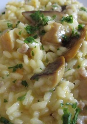 Foto di Risotto con porcini