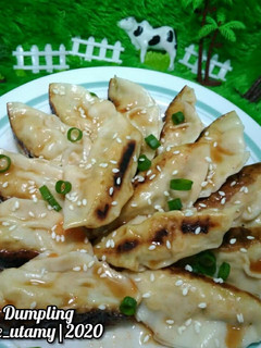 Foto resep Gyoza/ Wotie/ Dumpling Ayam