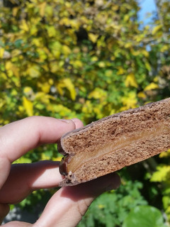 Una foto de Alfajores de chocolate