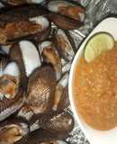 Kerang Rebus & Sambal Nanas