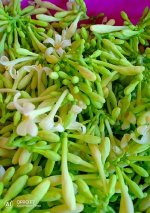 Foto resep Oseng "kembang kates"