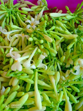 Langkah Gampang Menyiapkan Resep  Oseng "kembang kates" yang Enak Banget, Enak Banget