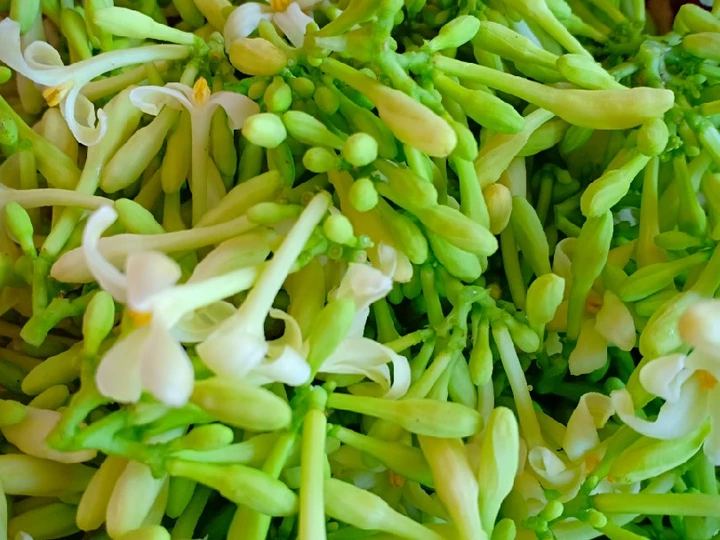 Langkah Gampang Menyiapkan Resep  Oseng &amp;#34;kembang kates&amp;#34; yang Enak Banget, Enak Banget