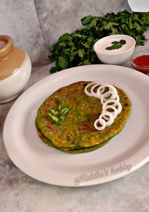 પાલક પનીર પરોઠા (Palak Paneer Paratha Recipe In Gujarati) રેસીપી મુખ્ય ફોટો