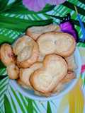 Mes palmiers