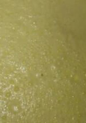 Una foto de Crema de leche