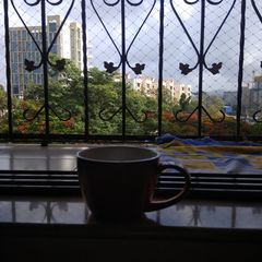 A picture of Tulsi Tea.