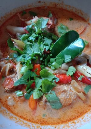 รูปของ ต้มยำน้ำข้น ไก่ 🐤 กุ้ง🍤 เห็ดนางฟ้า 🍄