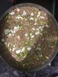 Weetabix barfi(fudge)