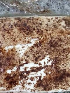 صورة لوصفة تيراميسو على طريقتي