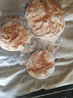 Una foto de Pan Sin Gluten en Monsieur cuisine