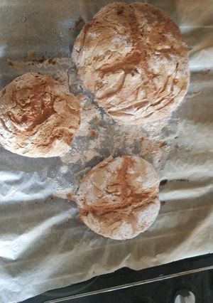 Una foto de Pan Sin Gluten en Monsieur cuisine