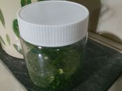 Una foto de ajo y perejil