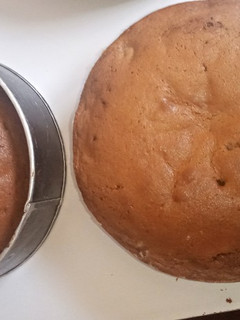 A picture of Rich fruit cake.