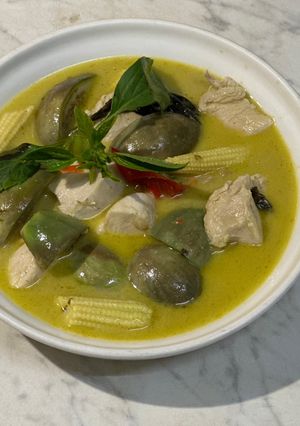 泰式綠咖哩雞 的食譜成品照片