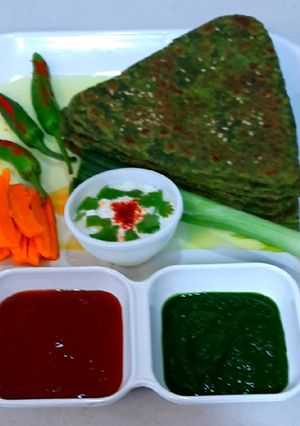 પાલક પનીર પરાઠા (Palak Paneer Paratha Recipe In Gujarati) રેસીપી મુખ્ય ફોટો