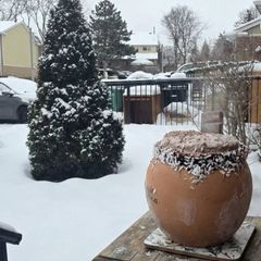 A picture of Chocolate smoothie.