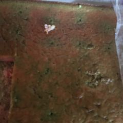 A picture of Poke Cake Options.