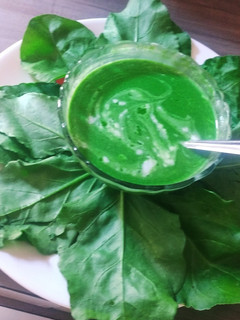 પાલક સૂપ(Palak Soup Recipe in Gujarati) રેસીપી મુખ્ય ફોટો