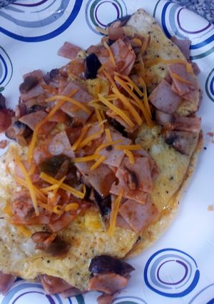 A picture of Turkey and Cheese Omelette.