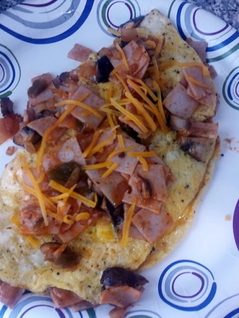 Easy Steps to Make Turkey and Cheese Omelette the  Makes Drooling Perfect