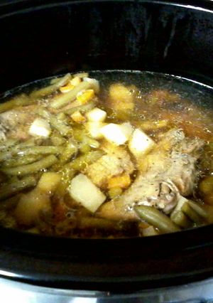 A picture of Squirrel in a slow cooker.