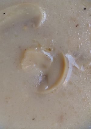 A picture of Mushroom Soup.
