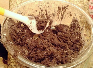 A picture of Amazing NO COOK Oreo/Marshmallow Dough :).