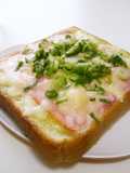 Toast with Wasabi Mayonnaise Bacon and Green Onion