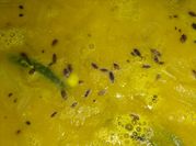 A picture of raw moong dal