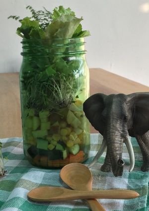 [綠藤芽食譜] 綠藤罐裝沙拉 的食譜成品照片