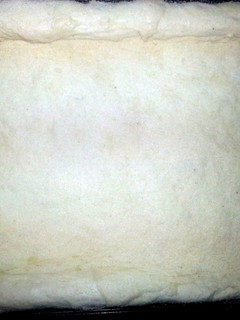 A picture of BF pizza dough.