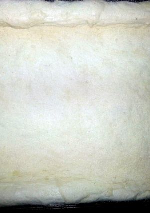A picture of BF pizza dough.