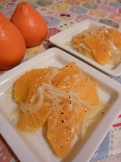 A picture of Orange and Sweet Onion Salad.