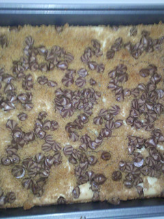 A picture of Cheesecake bars.