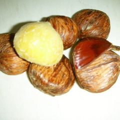 A picture of How to Peel and Boil Chestnuts Using a Pressure Cooker.