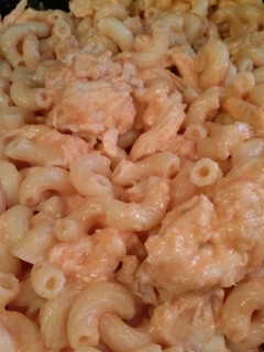 A picture of Buffalo Chicken Mac n' Cheese.