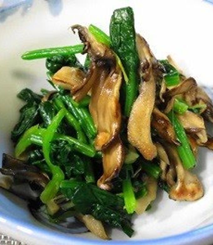 Semiz tatsning mushuki