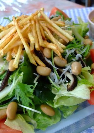 A picture of "Magowa-yasashii" Salad.