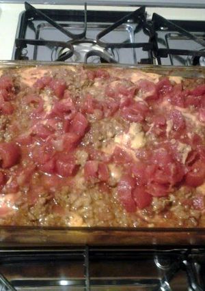 A picture of burrito melt.