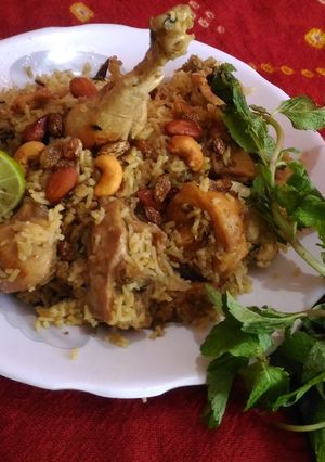 A picture of Shahi chicken biryani.