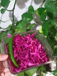 عکسی از دستور ترشی کلم قرمزدوسوته😋