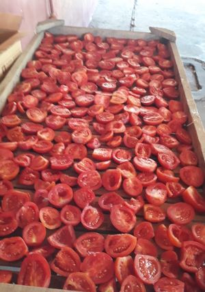 Una foto de Tomates secos desde 0!!!